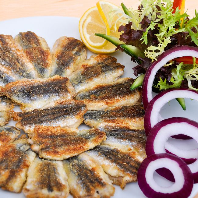 Paşa Balıkçılık (1. Gündoğan)
